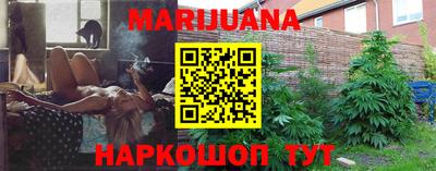 индика Вышний Волочёк