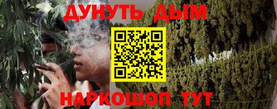 индика Вышний Волочёк